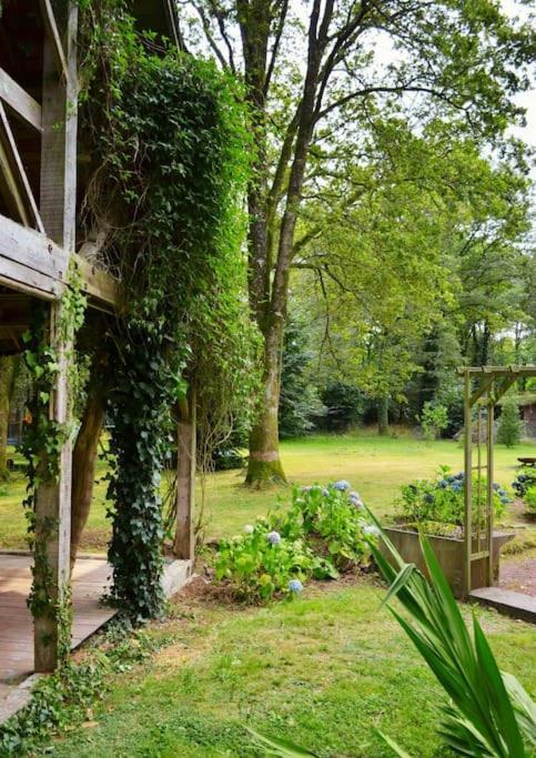 Chalet Cosy Au Coeur De La Foret De Broceliande Beignon المظهر الخارجي الصورة